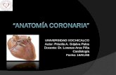 AnatomíA Coronaria.. Expo