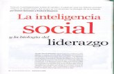 Inteligencia social y biología del liderazgo