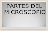 Microscopio partes