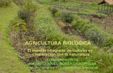 Agricultura Biológica, principios y posibilidades