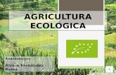 Agricultura ecológica. Alvaro Fernández Reina