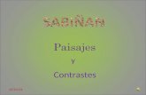 Sabiñan contrastes  presentacion 07(1) pps 2003