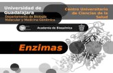 Enzimas Bioquímica Generalidades