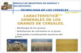 1 caracteristicas generales de los granos de cereales