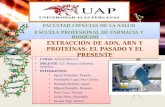 Extraccion de adn arn y proteinas
