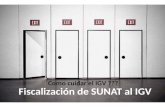 Fiscalización de SUNAT al IGV de las empresas