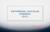 Evento Vascular Cerebral (EVC)