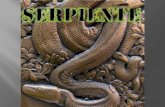 Serpiente (Ecuador)