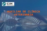 CIM Formación: Curso de Auxiliar de Veterinaria