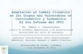 Edwin Castellanos. (2013). Adaptación Cambio Climático. IPCC