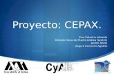 Proyecto CEPAX Sandra