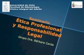 Seminario etica profesional y responsabilidad legal