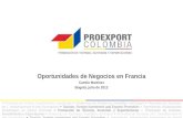 3. oportunidades de negocios en francia