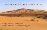 Medios eolicos y deserticos
