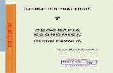 Ejercicios de GEOGRAFÍA (sectores económicos). Exámenes PAU Andalucía.