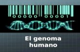 Cmc   5.2 el genoma humano