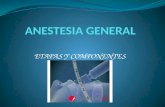 Anestesia general .