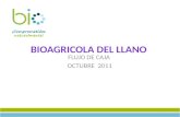 Presentacion flujo de caja bioagricola octubre 2011 (2)