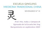 SEMINARIO III DE MEDICINA TRADICIONAL CHINA.  MTC