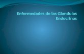 Enfermedades De Las Glandulas Endocrinas