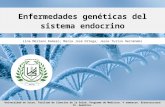Enfermedades genéticas del sistema endocrino