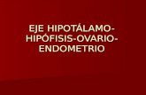 Eje HipotáLamo HipóFisis Ovario Endometrio