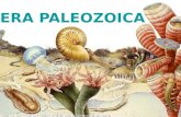 Paleozoico (I)