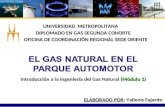 El gas natural en el parque automotor