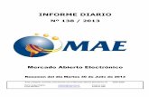 Informe Diario MAE 30-07-13