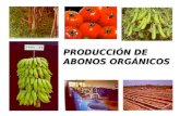 Produccion de Abonos Organicos