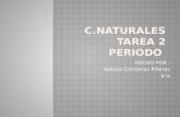 Tarea de c.naturales 2 periodo