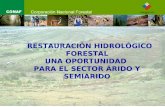 Oportunidades Forestales Para Zonas áRidas. Bernardo Contreras. Conaf