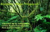 Powerpoint: Bosc tropical