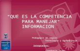 Competencias para el manejo de información