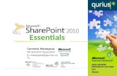 Sharepoint Essentials 2
