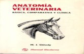 Anatomía veterinaria básica, comparativa y clínica  M. J. Shively