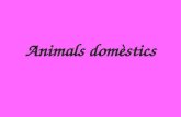 Animals dom¨stics