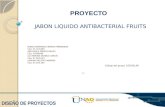 estudio de viabilidad y factibilidad para la elaboracion y comercializacion del jabon liquido fruits