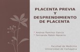 Placenta previa y desprendimiento de placenta