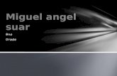 Miguel angel suar