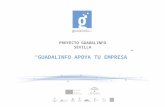 Proyectos Guadalinfo EBE10