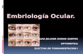 Embriologia ocular
