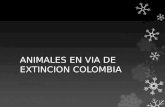 Animales en via de extincion colombia