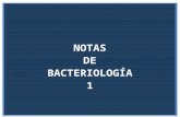 Bacteriología 1