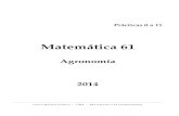 Práctica Matemática Agronomía CBC (61)