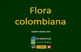 Flora colombiana