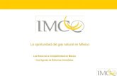 Factores de Producción /Energía: Oportunidad de Gas Natural en México (2005)