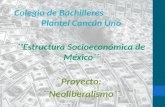 Proyecto Historia Neoliberalismo