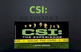 CSI EXPERIENCIA