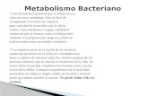 Metabolismo Bacteriano II